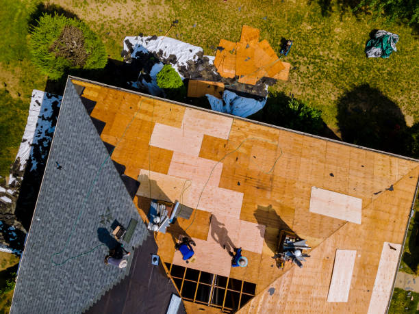 Roof Gutter Cleaning in Hodgkins, IL